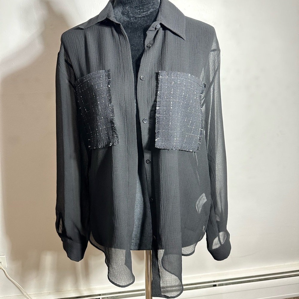 Zara button up sheer top